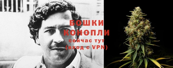 спиды Костерёво