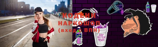 прущие крисы Корсаков