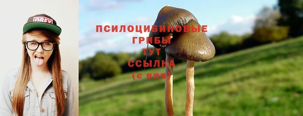 спиды Костерёво