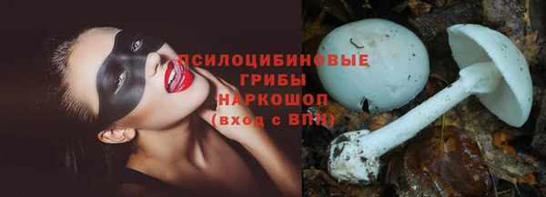 прущие крисы Корсаков