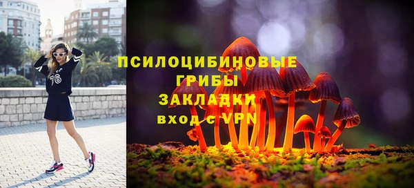 спиды Костерёво
