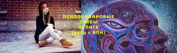 прущие крисы Корсаков