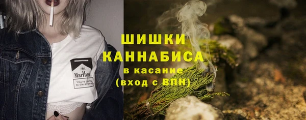 прущие крисы Корсаков