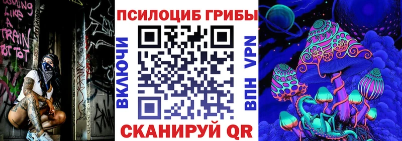 Купить где  Ленинск  Галлюциногенные грибы прущие грибы 